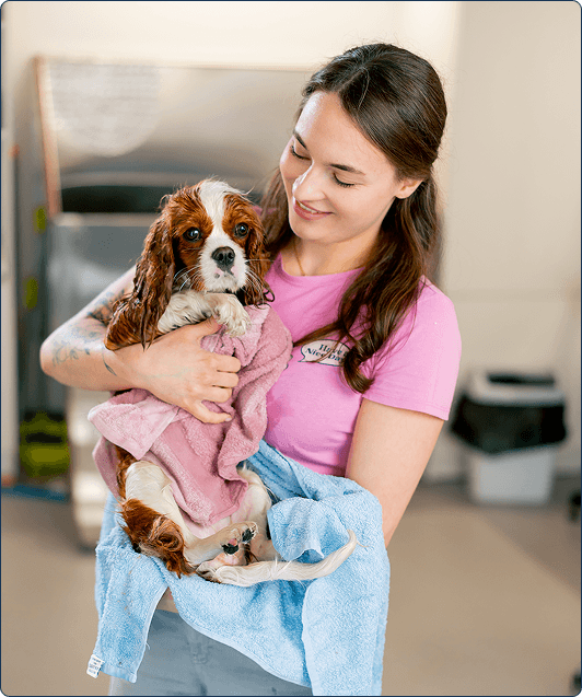 Embark Pet Services Dog Services