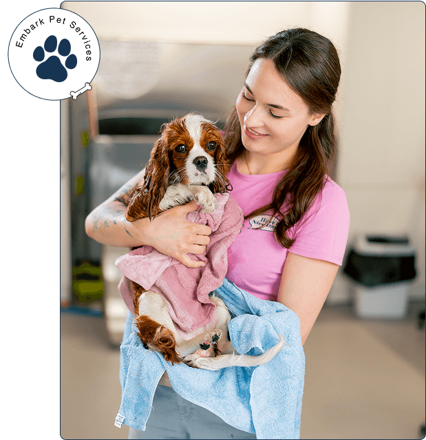 Embark Pet Services Dog Services