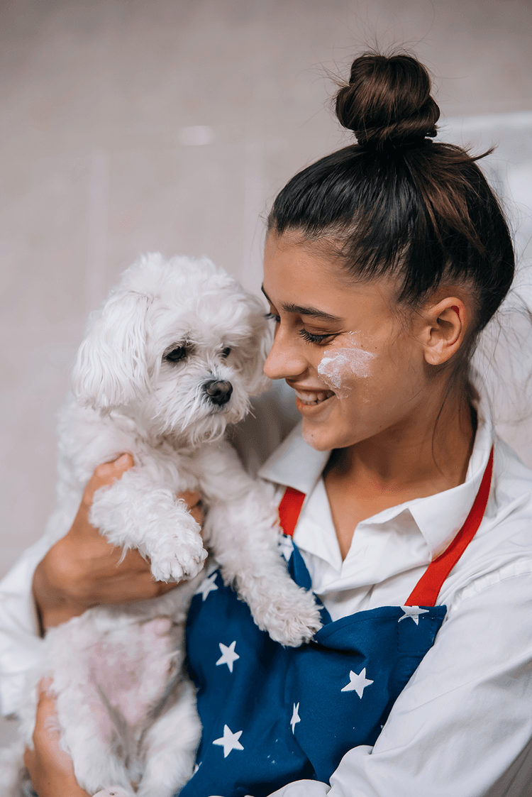 Embark Pet Services Boarding