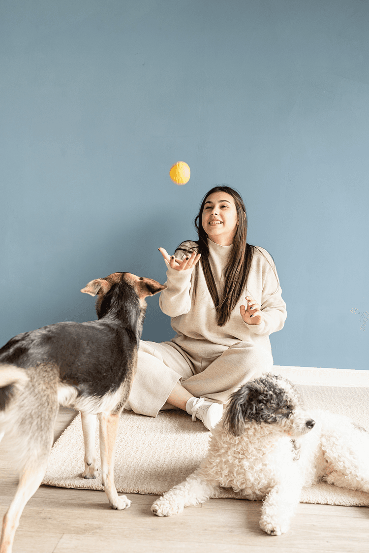 Embark Pet Services Daycare