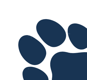 Footer Paw