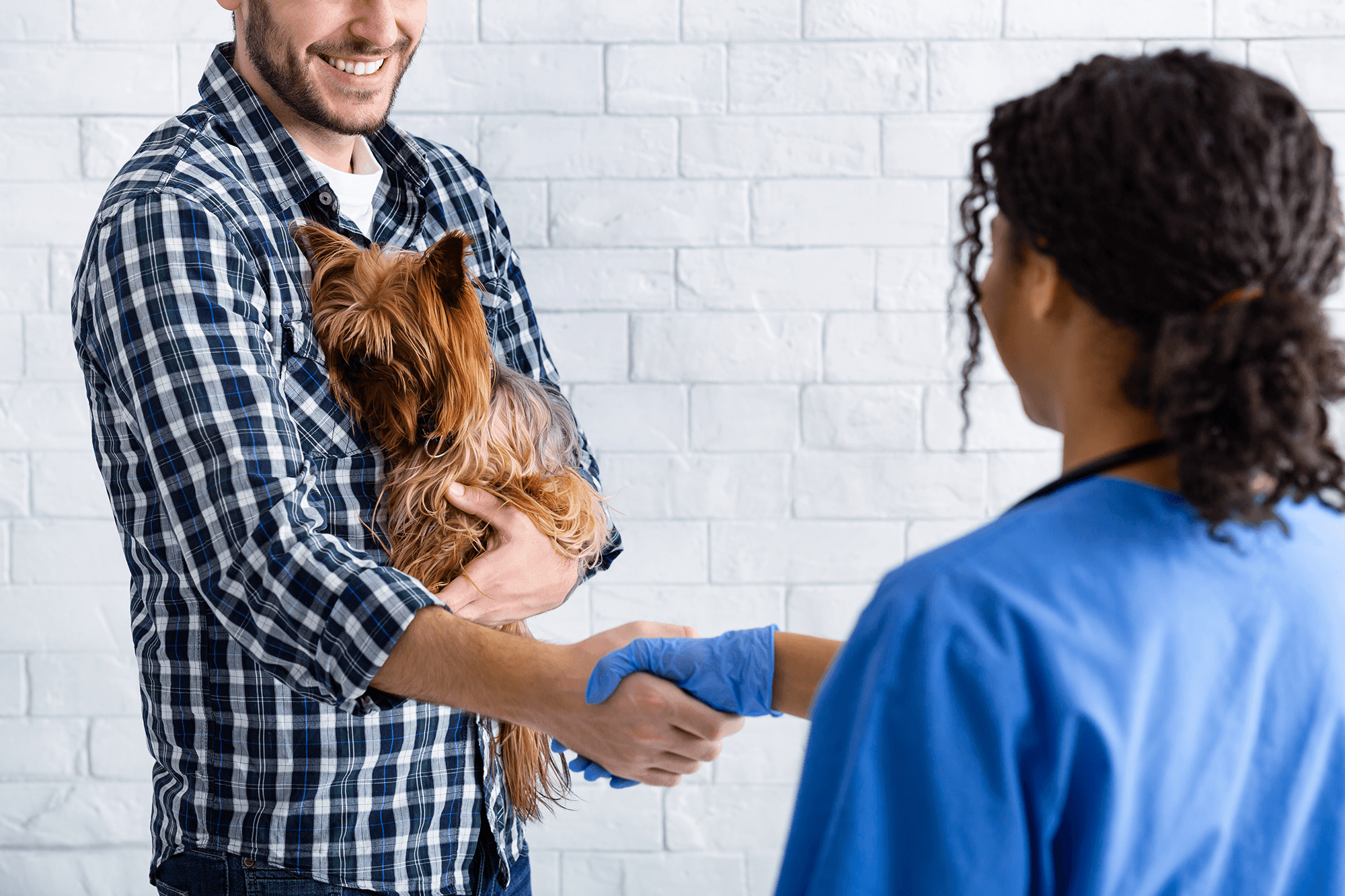 Join Embark Pet Services Network